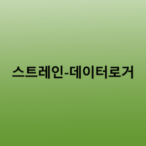 스트레인-데이터로거