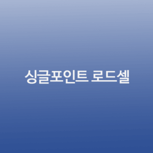 싱글포인트