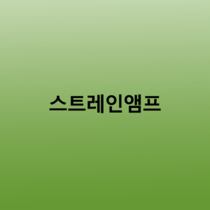스트레인앰프
