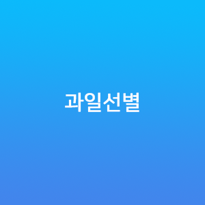 과일선별